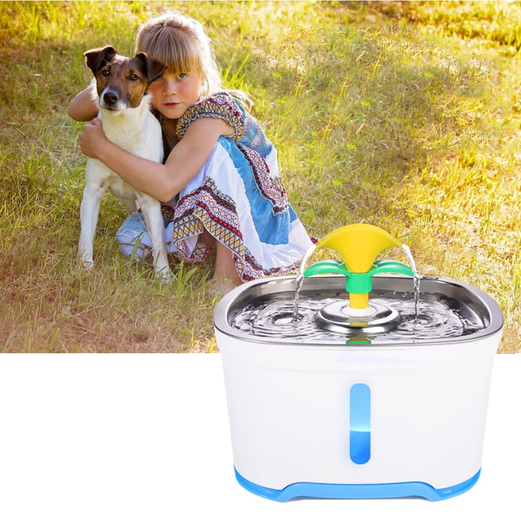 Automatic dog outlet water fountain